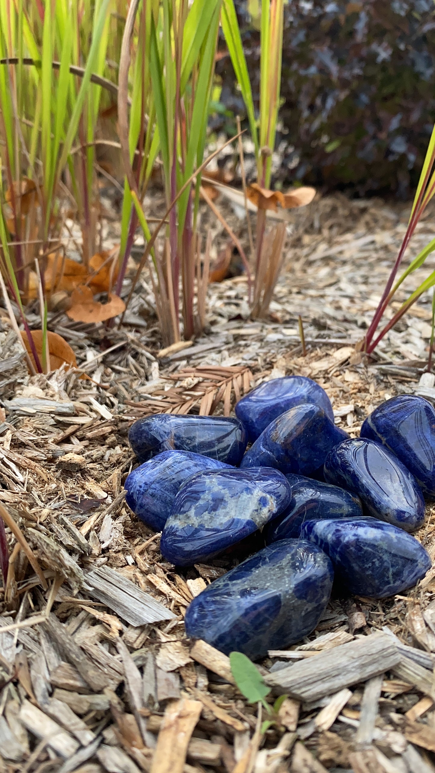 Pierre Roulée Sodalite AA 30 à 40mm
