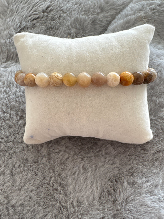 Corail fossile