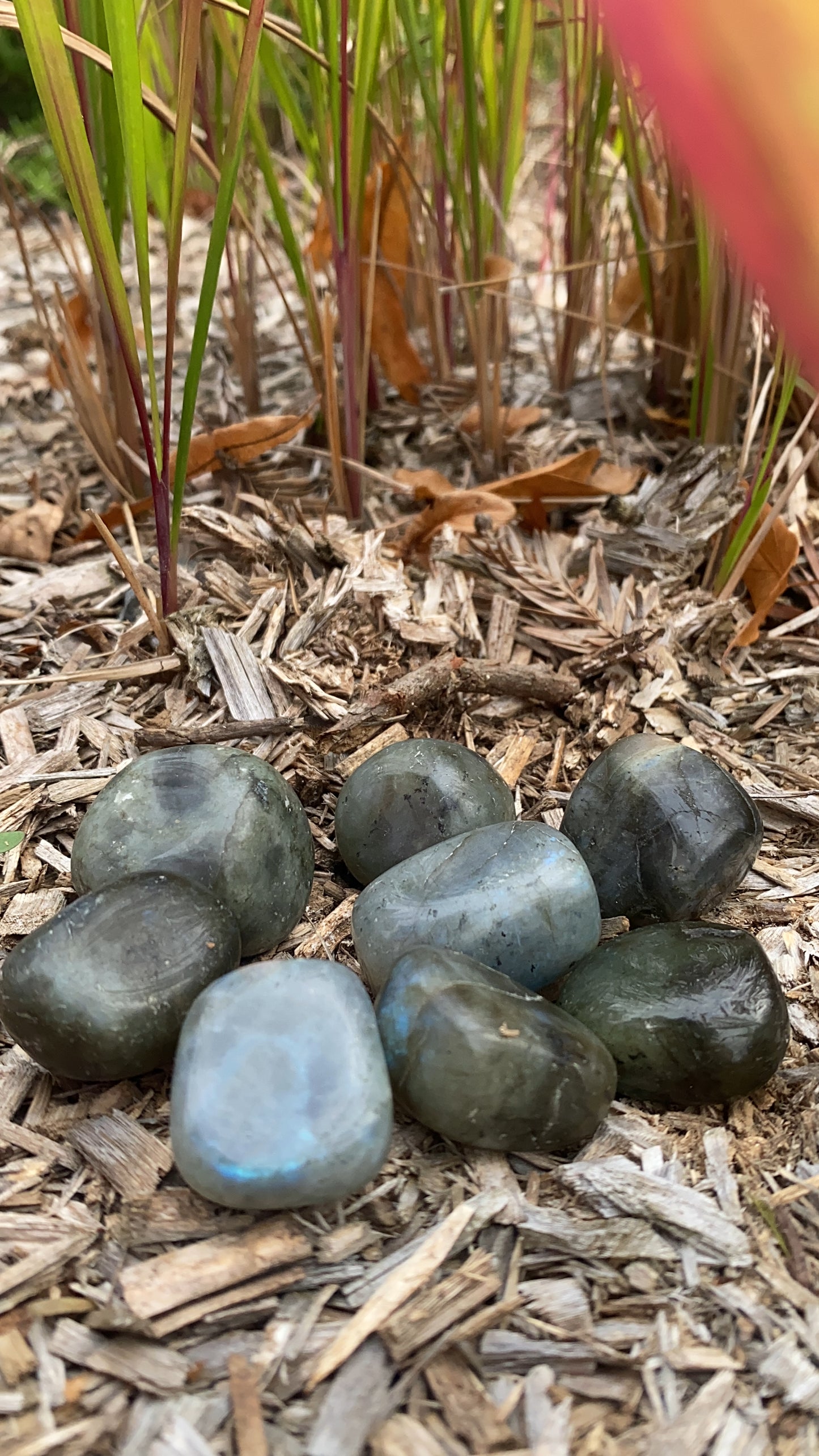 Pierre roulée Labradorite 30-40mm