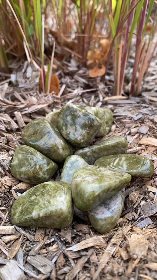 Pierre Roulée Epidote AB 30 à 40mm