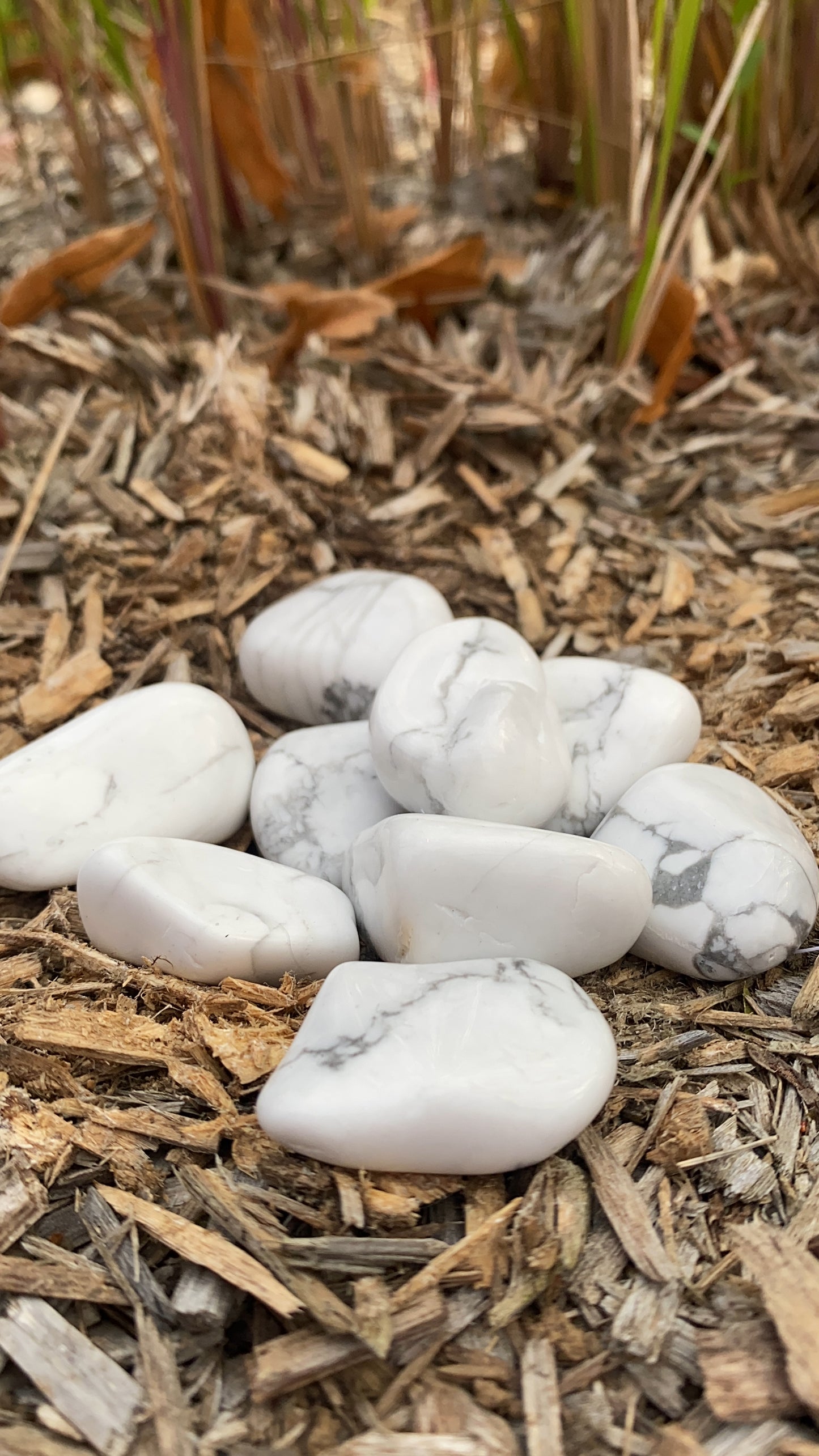 Pierre Roulée Howlite Blanche A 30 à 40mm